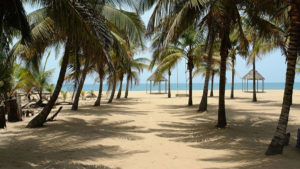 coconut-beach